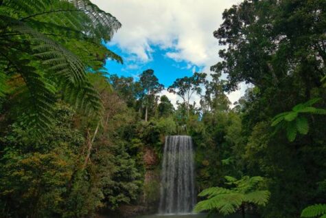 © AustralianCamera - shutterstock.com