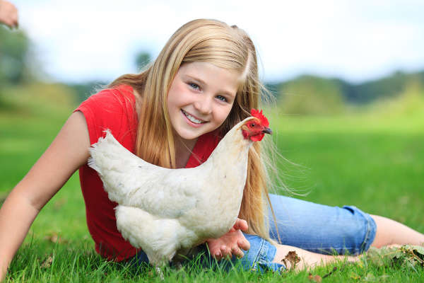 Mädchen mit Henne im Gras